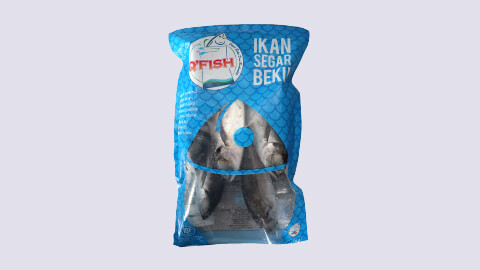 Q'fish Ikan Cencaru