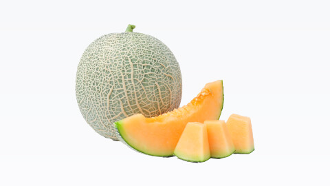 Fama Rock Melon