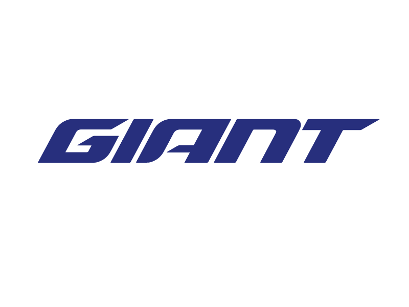 Giant Bicycle