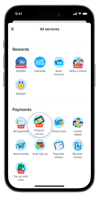 Dvs Prepaid How 01